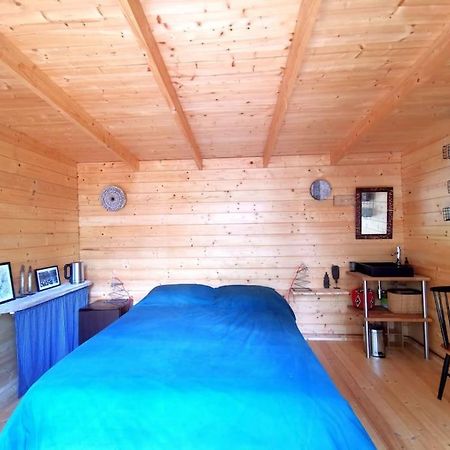 Cabanon Dans Un Ecrin De Verdure カリアン エクステリア 写真